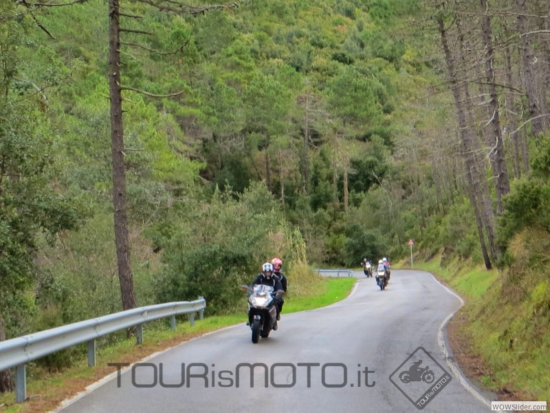 Ricominsemmu 2014_16