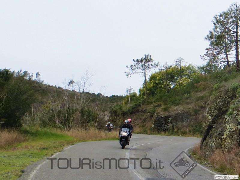 Ricominsemmu 2014_17