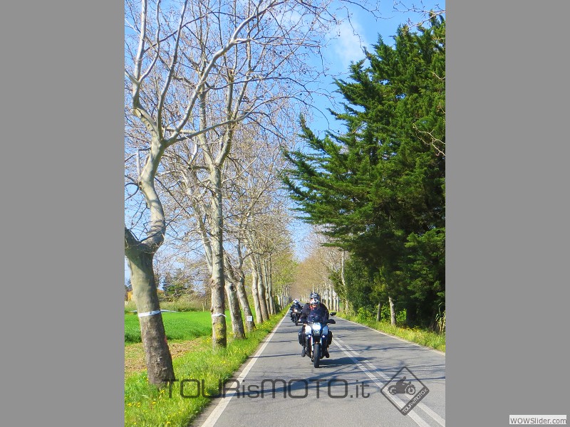 Larderello 2014_01