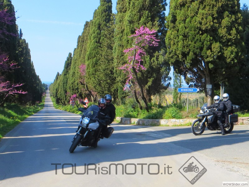 Larderello 2014_06