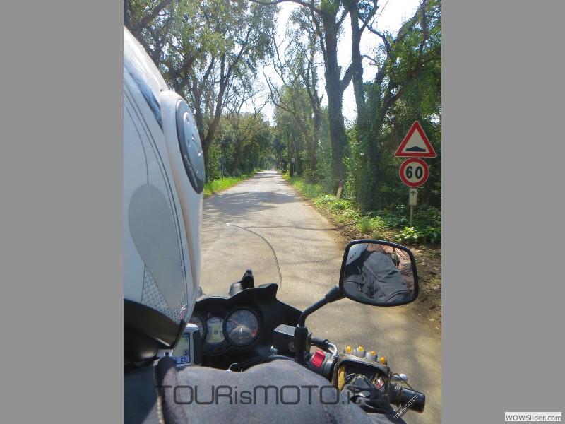 Larderello 2014_15