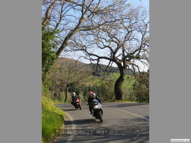 Larderello 2014_33