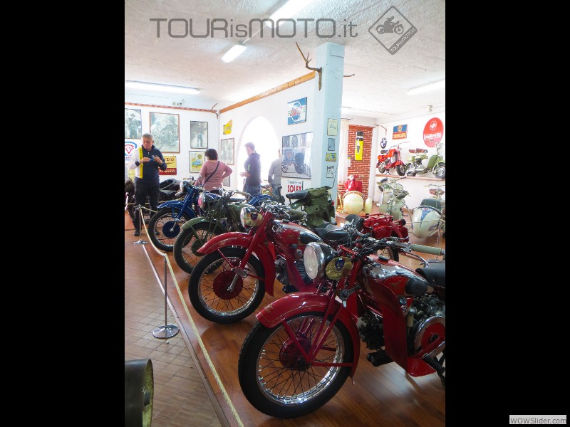 Ricominsemmu 2015_15
