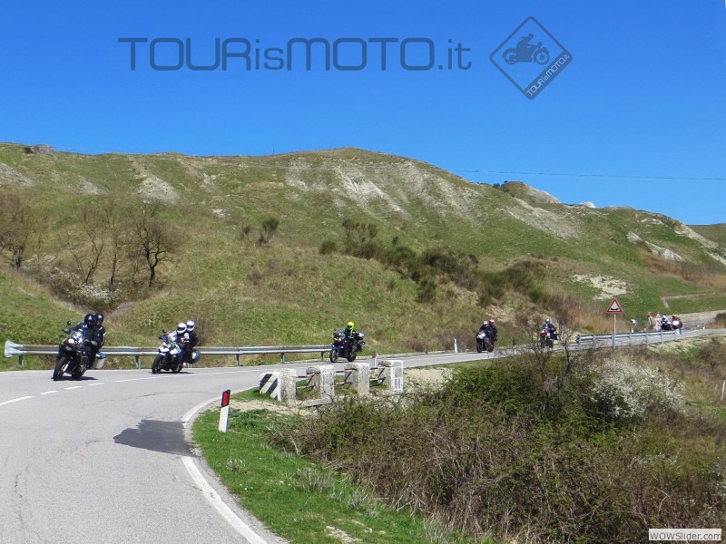 Maremma 2015_04