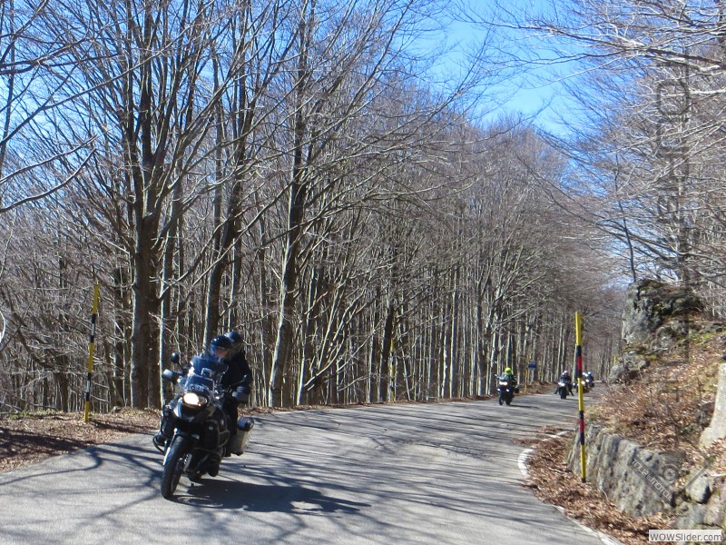 Maremma 2015_13