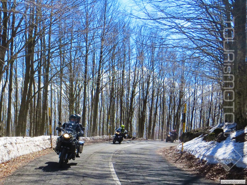 Maremma 2015_15