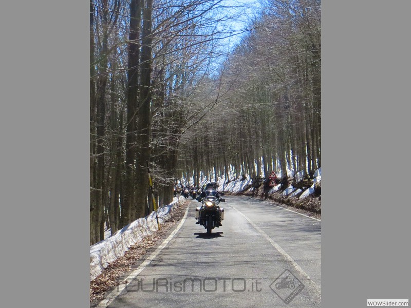 Maremma 2015_16