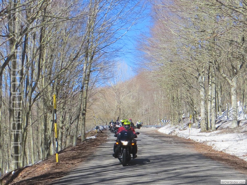 Maremma 2015_19