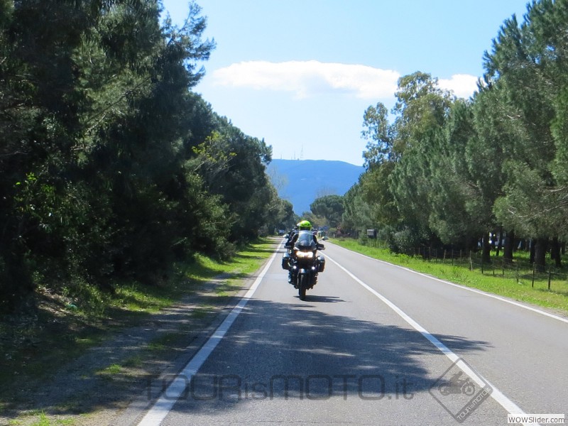 Maremma 2015_59