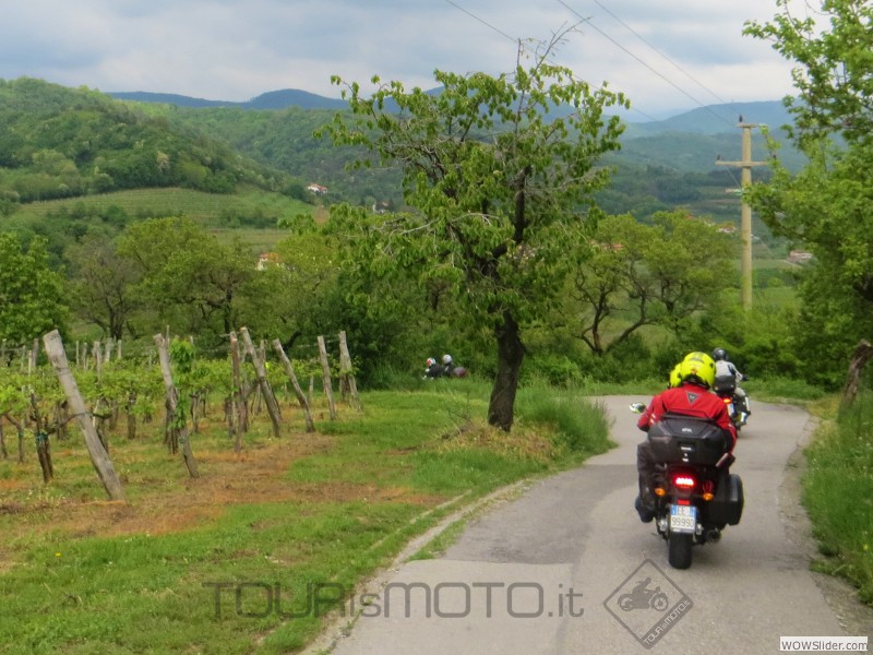 Friuli 2015_21