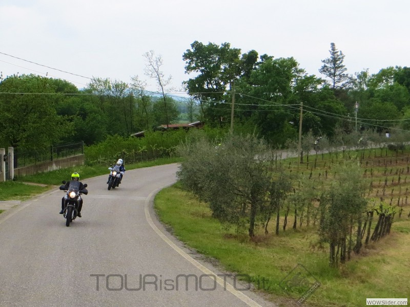 Friuli 2015_32