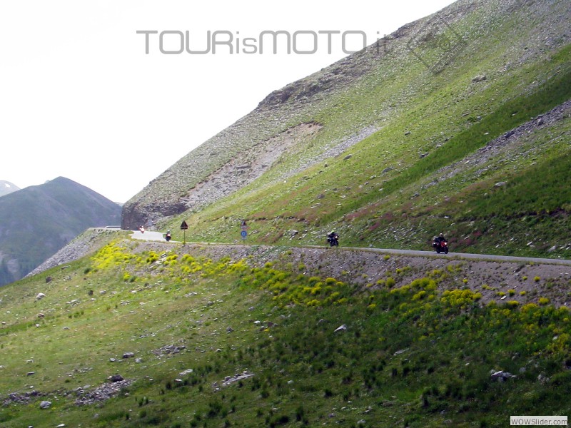 Bonette_23
