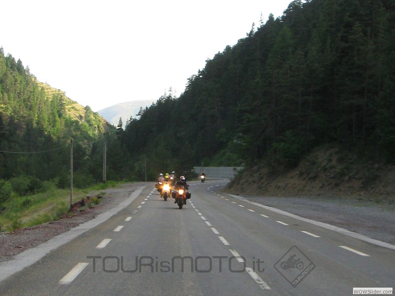 Bonette_33