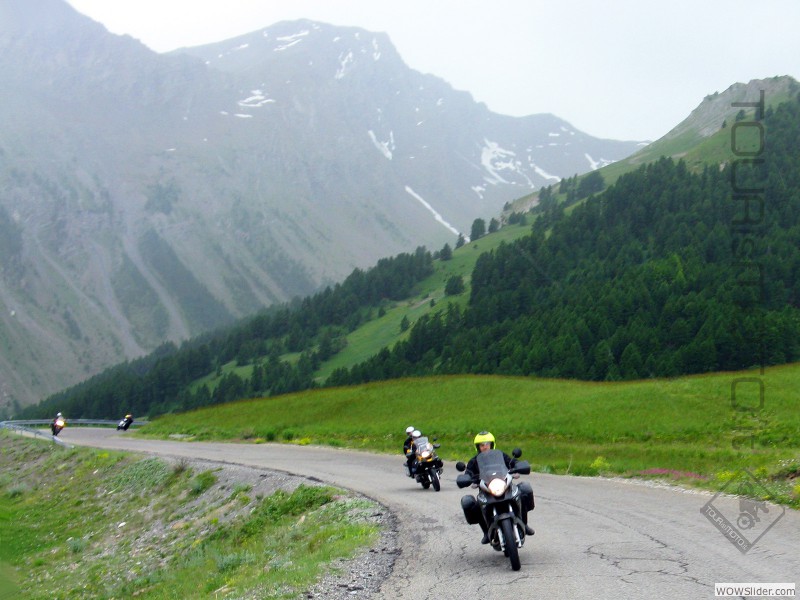 Bonette_39