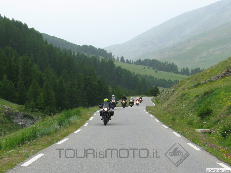 Bonette_43