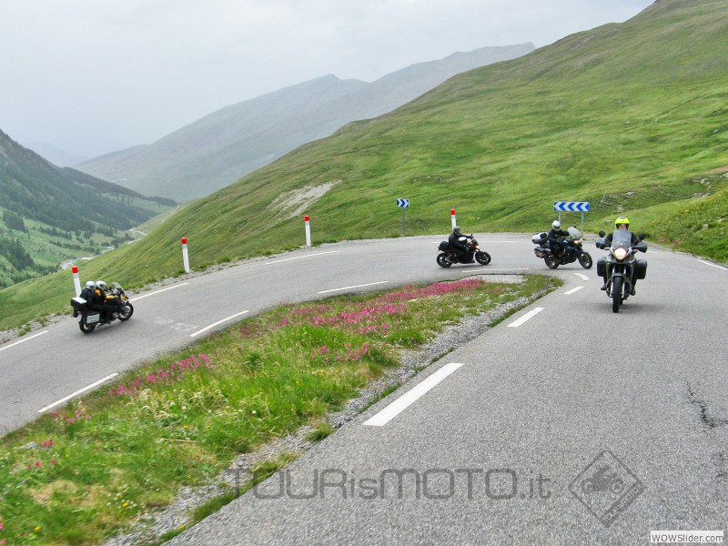 Bonette_45