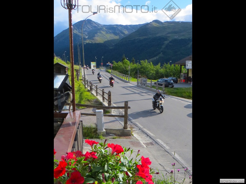 Bernina-Stelvio_28
