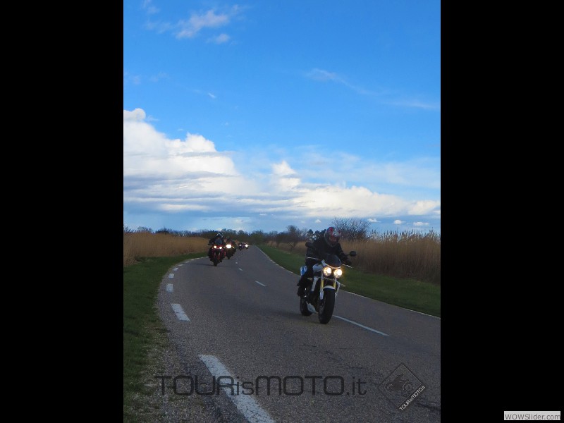 Camargue 2013_07