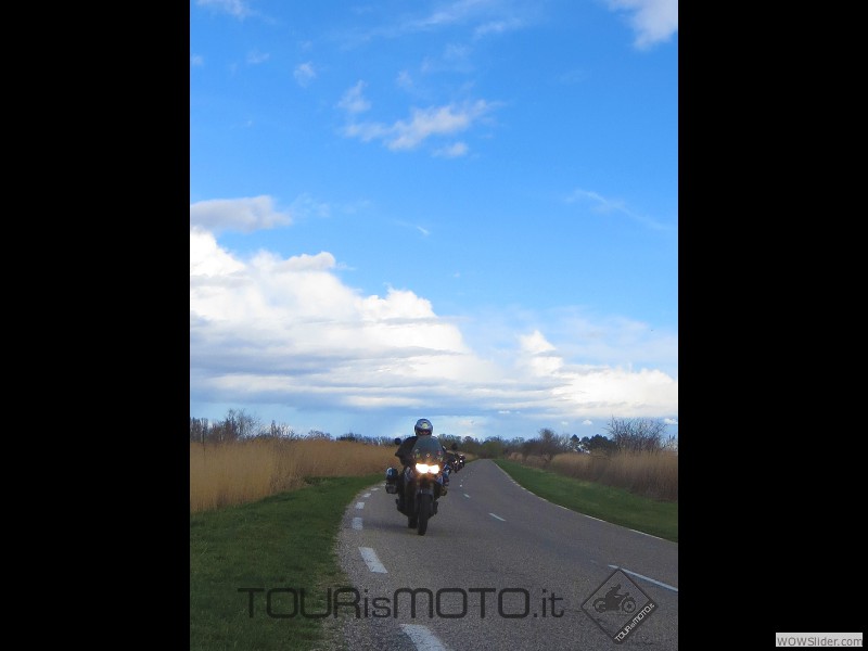 Camargue 2013_09