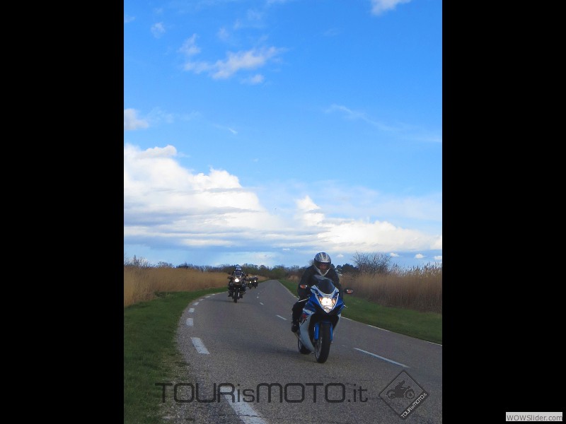 Camargue 2013_10