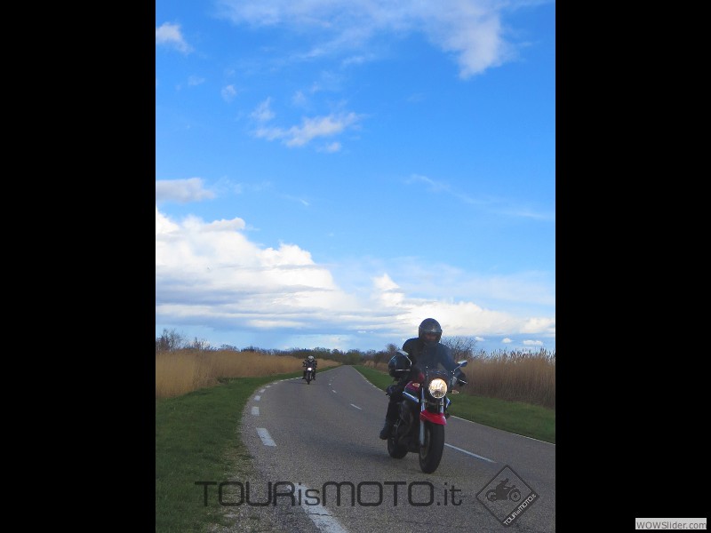 Camargue 2013_11