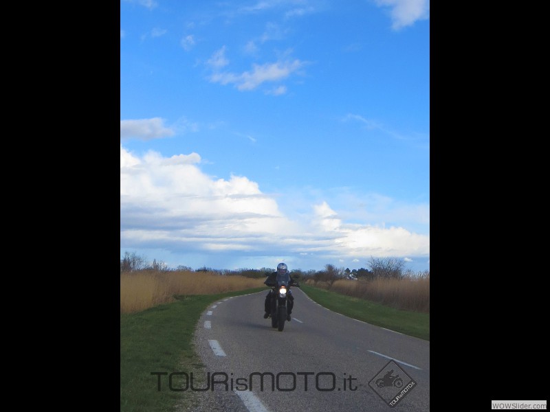 Camargue 2013_12