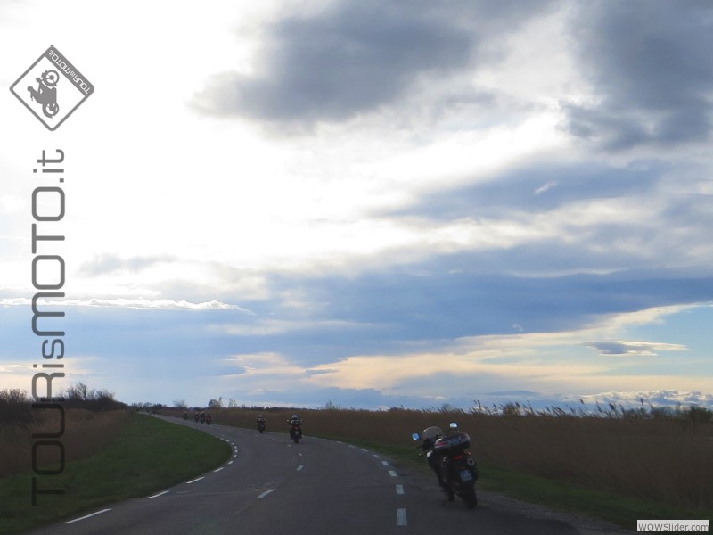 Camargue 2013_13