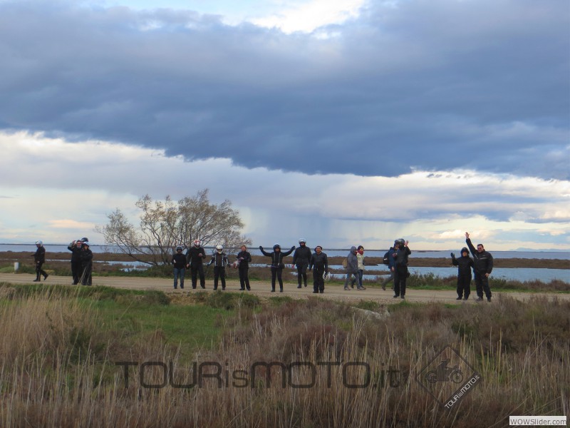 Camargue 2013_14