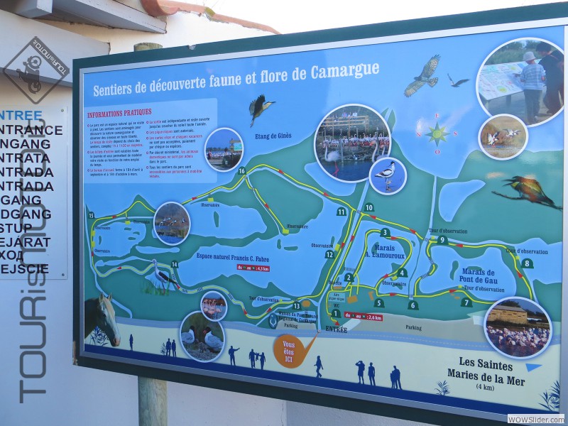 Camargue 2013_16