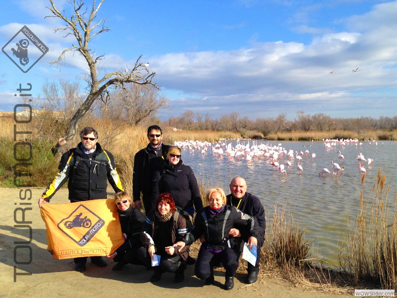 Camargue 2013_17