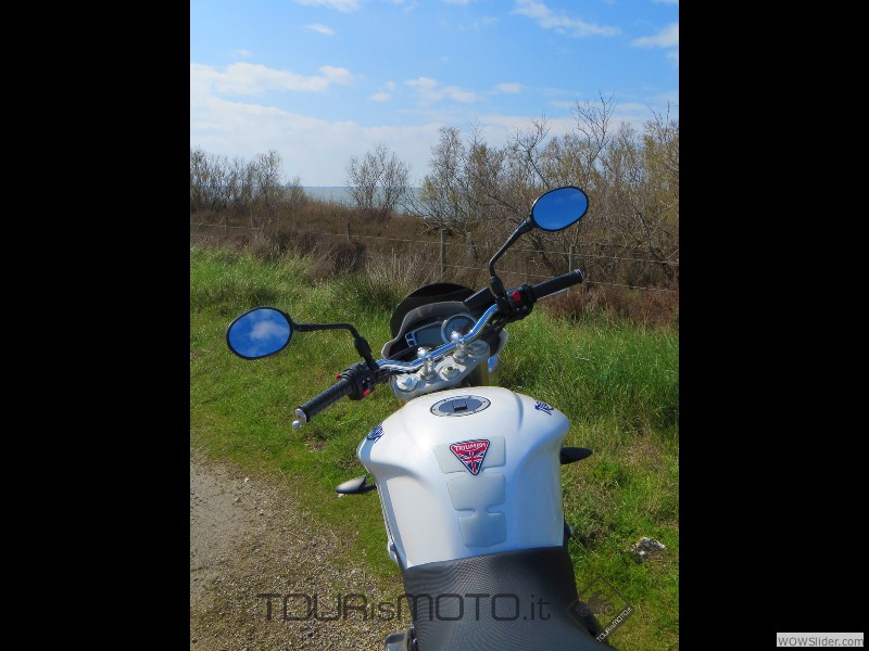 Camargue 2013_25a