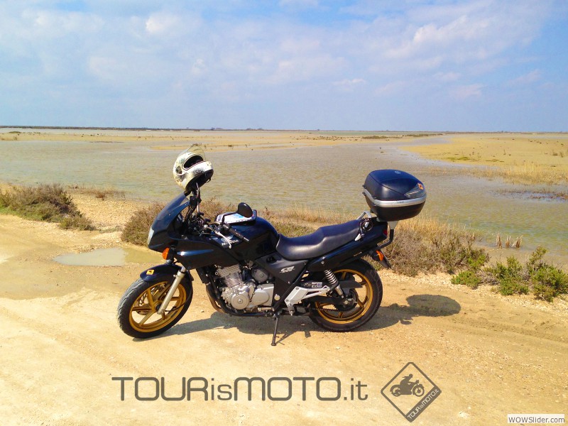 Camargue 2013_27a