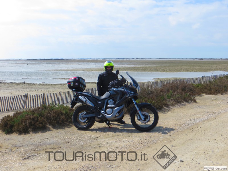 Camargue 2013_27b