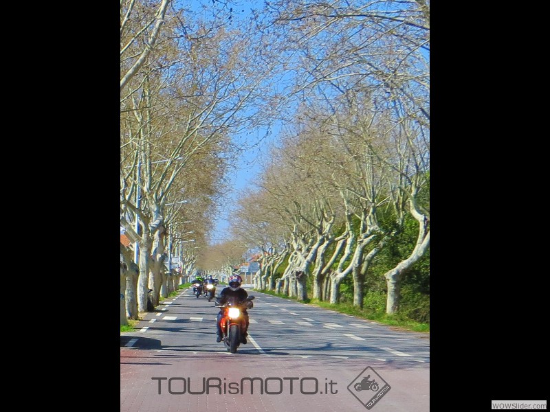 Camargue 2013_29