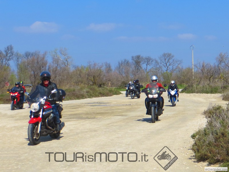 Camargue 2013_30