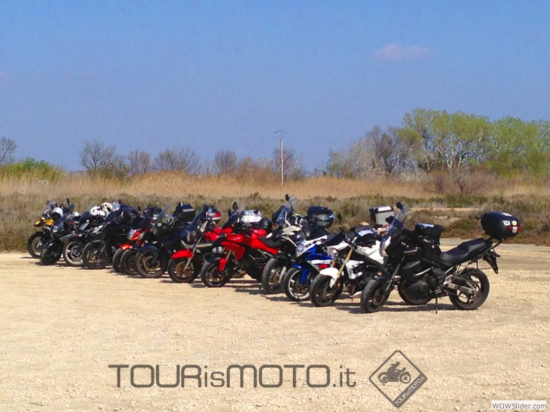 Camargue 2013_33
