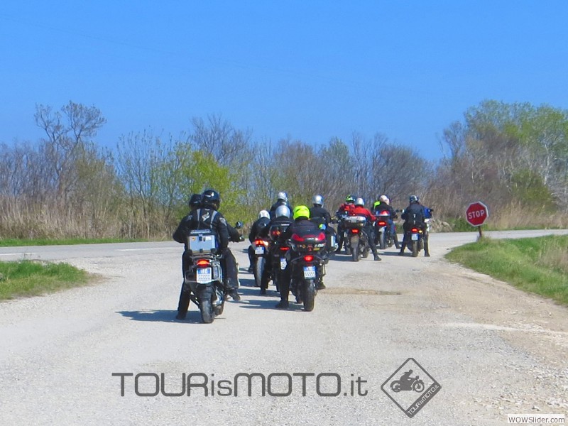 Camargue 2013_36