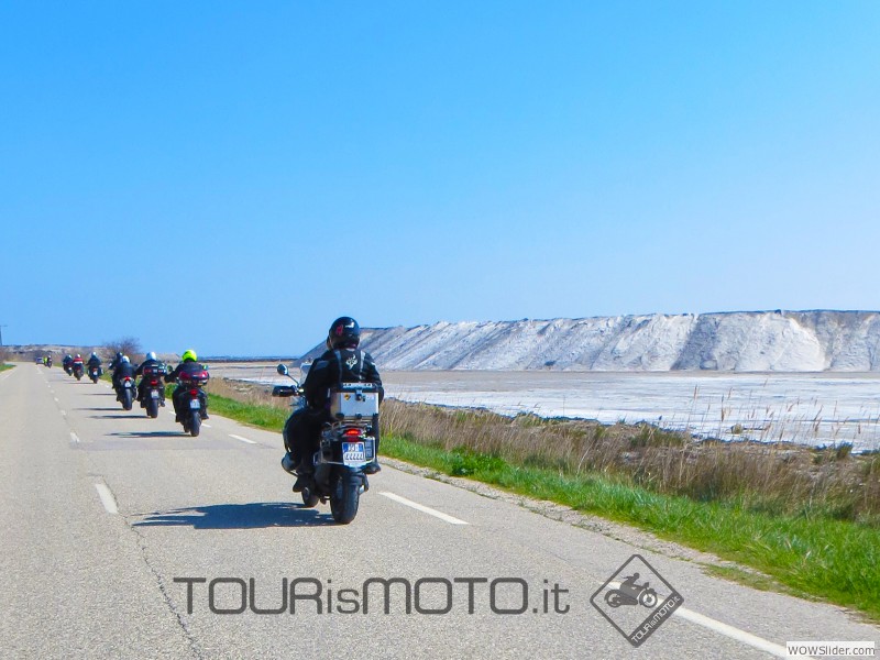 Camargue 2013_37
