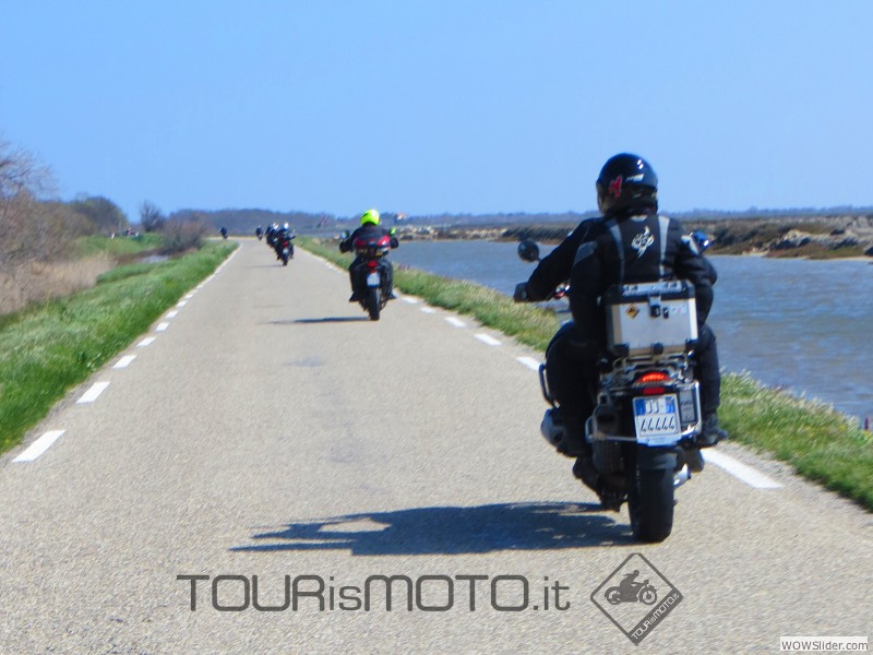 Camargue 2013_39