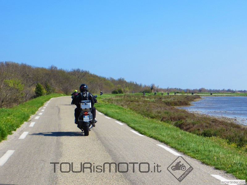 Camargue 2013_40