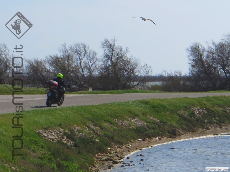 Camargue 2013_41