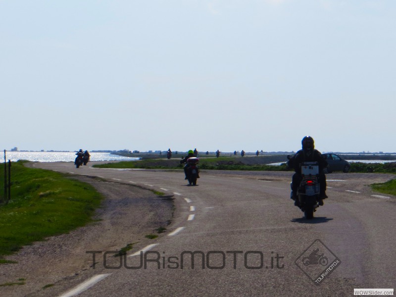 Camargue 2013_42