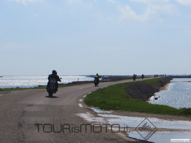 Camargue 2013_43
