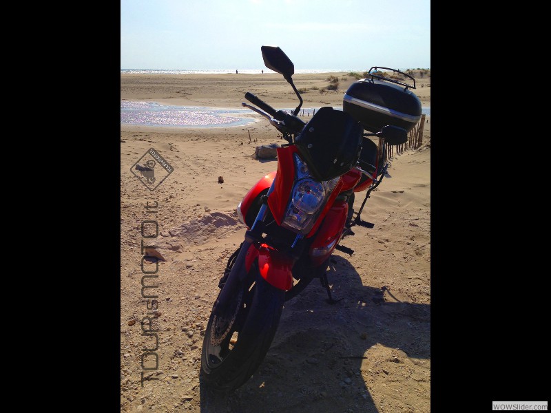 Camargue 2013_45