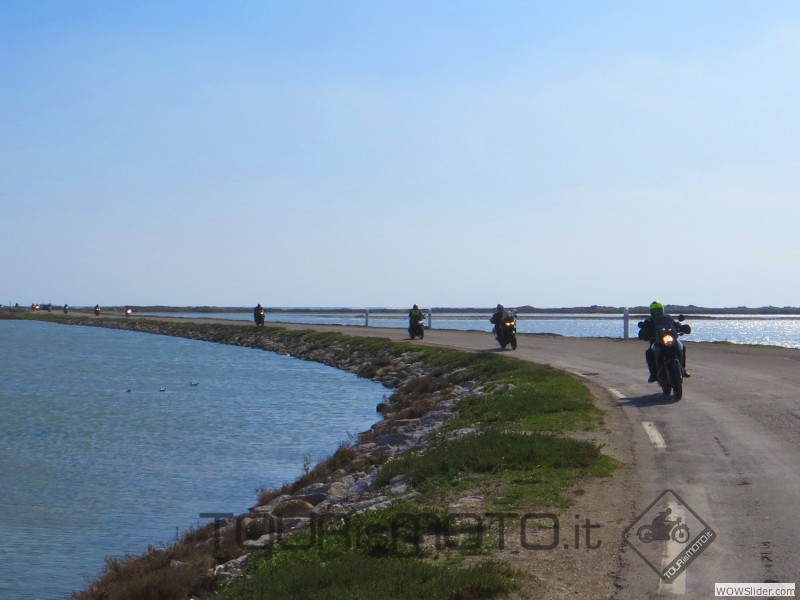 Camargue 2013_50