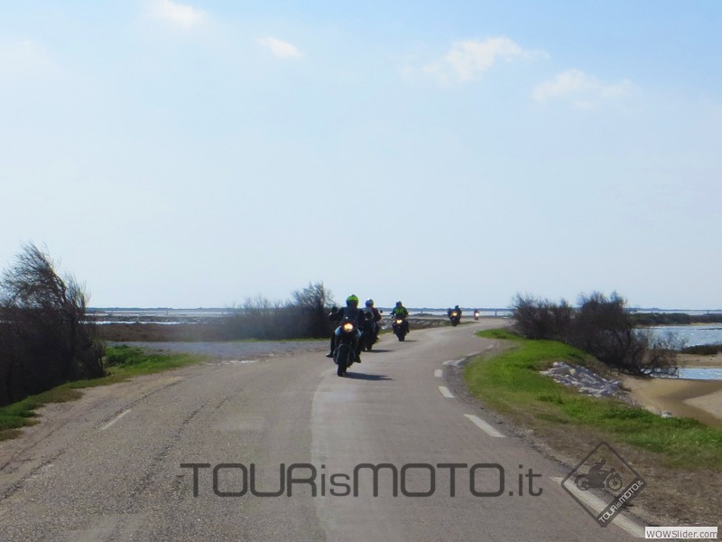 Camargue 2013_51