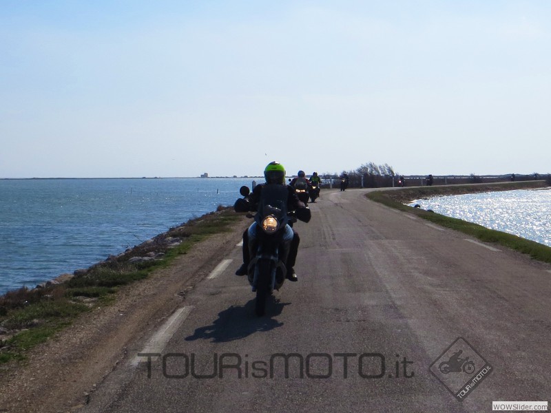 Camargue 2013_52
