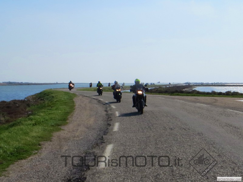 Camargue 2013_53