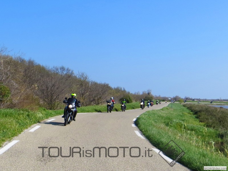 Camargue 2013_54
